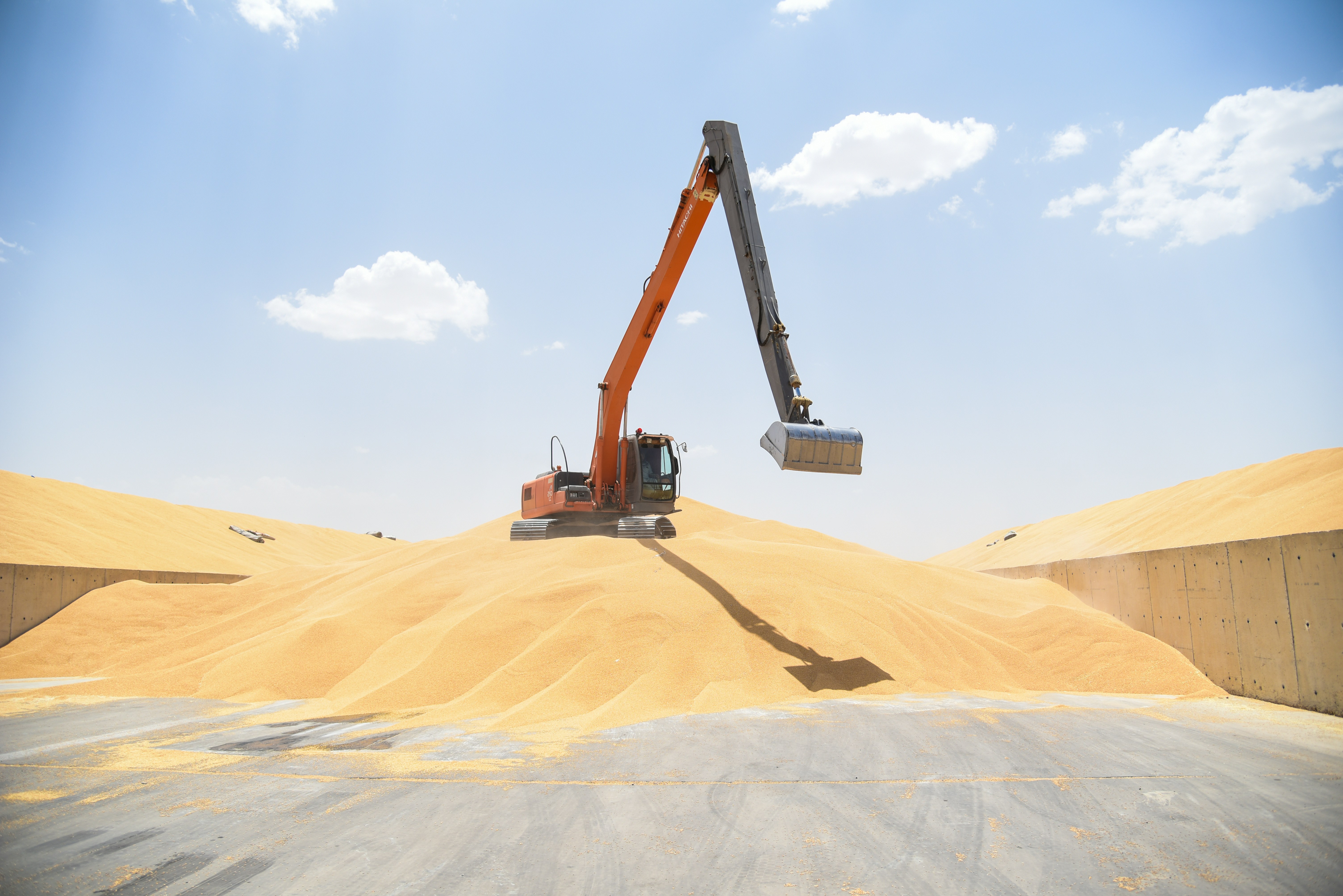 Long Arm Excavator Malaysia